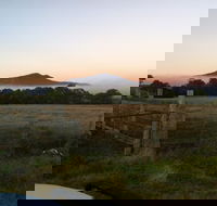 Mountainside Wines - Hotel NSW