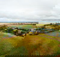 Pettavel Wines - Hotel NSW