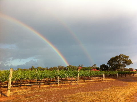 Sandhurst Ridge - Hotel NSW 2
