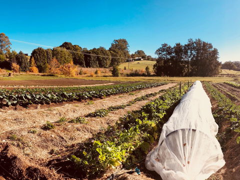 Synchronicity Farm - Hotel NSW 0