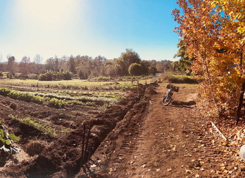 Synchronicity Farm - Hotel NSW 1