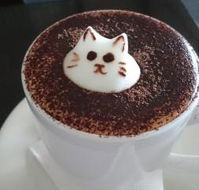 Cafe 2340 - Hotel NSW