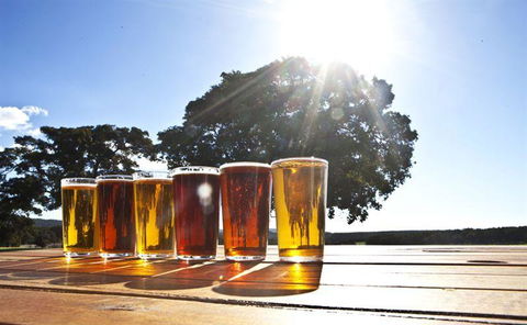 Mt Henry Tavern - Hotel NSW 13