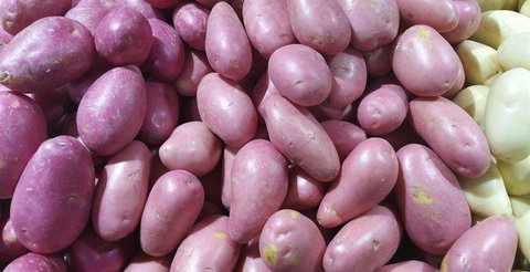 Sams Pizzeria On The Waterfront - Hotel NSW 23