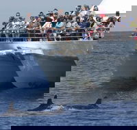 MoonshadowTQC Cruises - Hotel NSW