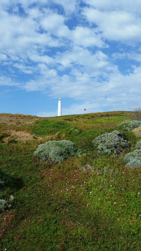 King Island Golf - Hotel NSW 8