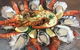 Sealife Centre Restaurant - thumb 0
