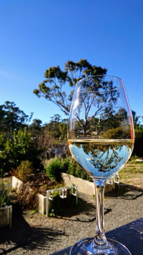 Mocandunda Cellar Door And Restaurant - Hotel NSW 3