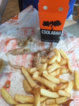 Coolabah Tree Cafe - Hotel NSW 0