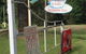 Bellbird Creek Cafe - thumb 0