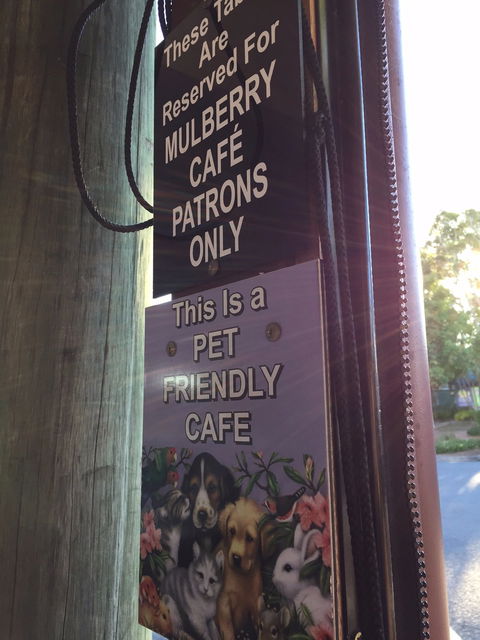 Mulberry Cafe - Hotel NSW 6
