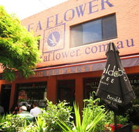 Scent of a Flower - Hotel NSW