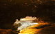 Mercure Kangaroo Island Lodge - thumb 16