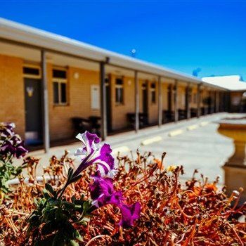 MAS Country Club Motor Inn - Hotel NSW 1