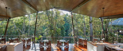 Silky Oaks Lodge - Hotel NSW 1
