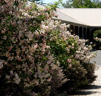 Wine Village Motor Inn - Hotel NSW