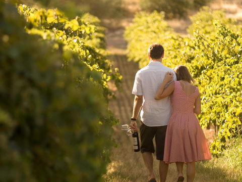 Novotel Barossa Valley Resort - Hotel NSW 1