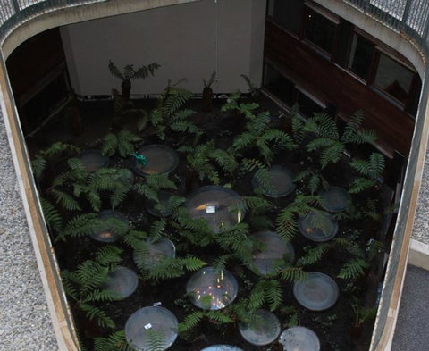 Canberra Luxury Apartment 3 - Hotel NSW 32