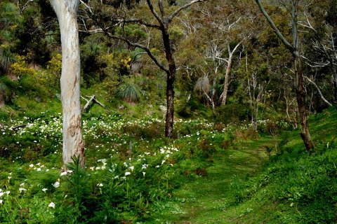 Lure Bed And Breakfast - Hotel NSW 17