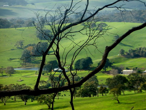 Lure Bed And Breakfast - Hotel NSW 21