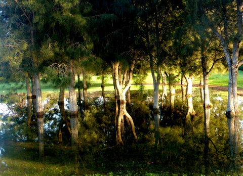 Lure Bed And Breakfast - Hotel NSW 18