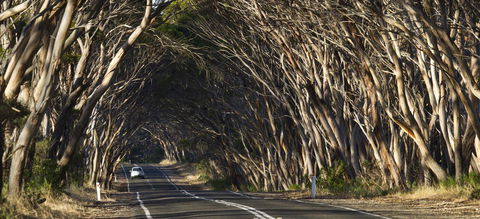 Mercure Kangaroo Island Lodge - Hotel NSW 40