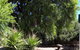 Bordertown Motel - thumb 4
