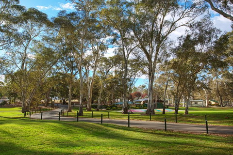 Discovery Parks - Clare - Hotel NSW 19