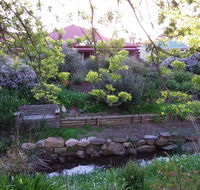 Frog Song at Willunga - Hotel NSW