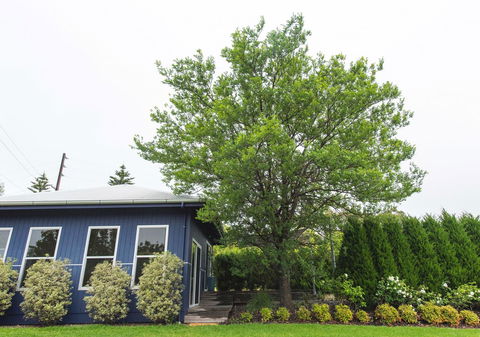S T U D I O 22 Peaceful Retreat With Garden Views - Hotel NSW 11