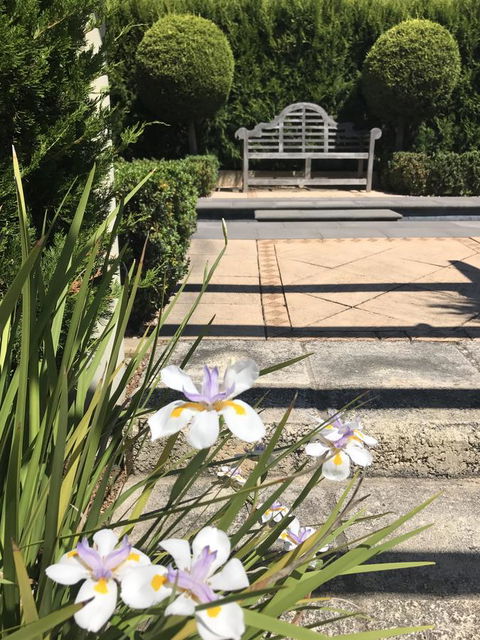 S T U D I O 22 Peaceful Retreat With Garden Views - Hotel NSW 13