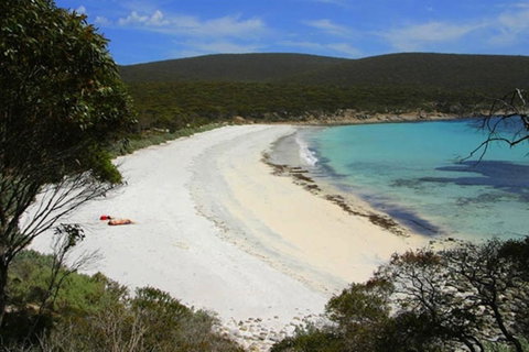 Bay 10 - Suites And Apartments - Hotel NSW 27