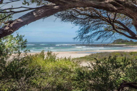 BIG4 Tasman Holiday Parks - Racecourse Beach - Hotel NSW 7