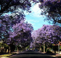Monaco Court Apartment Adelaide - Hotel NSW