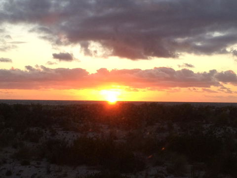 Adelaide - Semaphore Beach Front - Hotel NSW 36