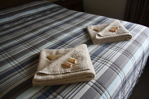 Isis Motel Scone - Hotel NSW 3