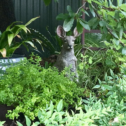 Hahndorf Oak Tree Cottages - Hotel NSW 12
