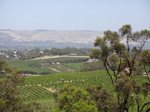 Elandra Holiday Home - Hotel NSW 18