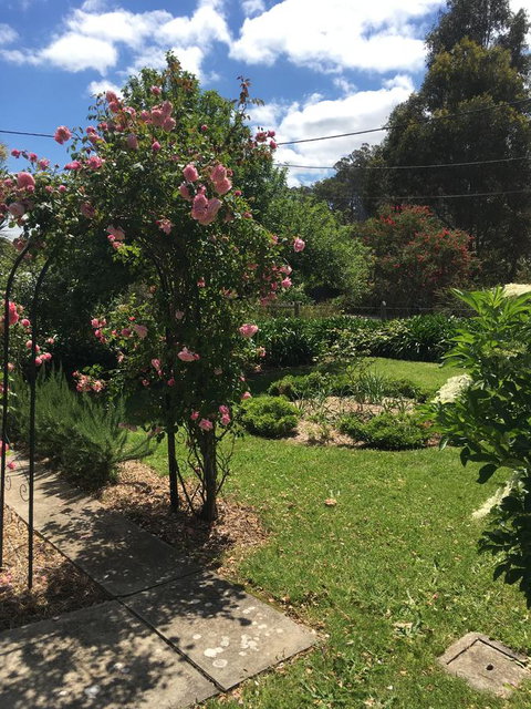 Hilltop Too - Hotel NSW 13