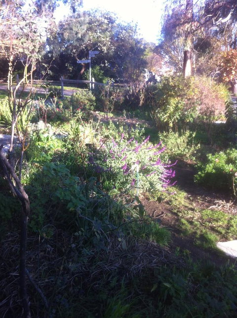 Hilltop Too - Hotel NSW 12