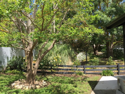 Hilltop Too - Hotel NSW 7