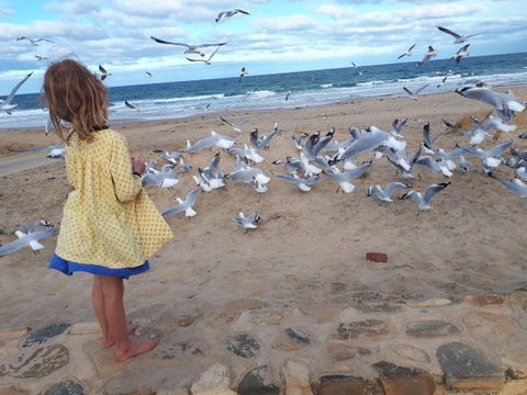 Moana Beach Tourist Park - Hotel NSW 9
