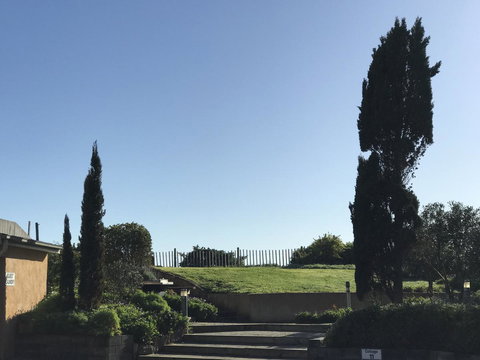 Caledonian Inn - Hotel NSW 24