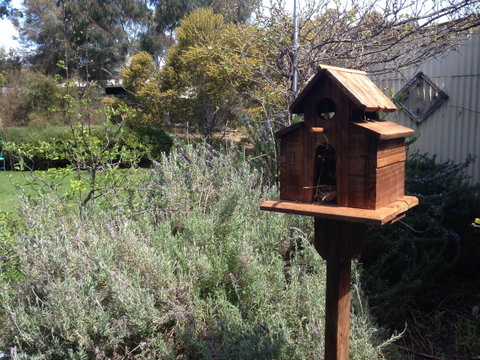 Jack\'s House B&B Clare - Hotel NSW 6