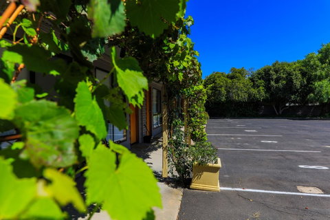 Country Roads Motor Inn Naracoorte - Hotel NSW 16