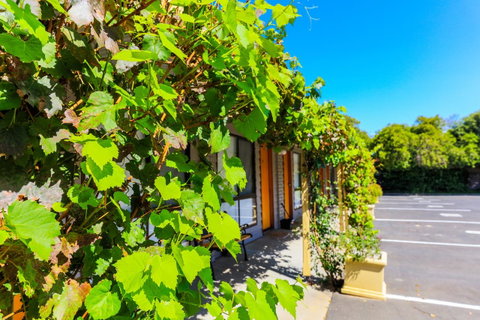 Country Roads Motor Inn Naracoorte - Hotel NSW 18