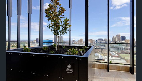 ONE Adelaide CBD - Hotel NSW 33