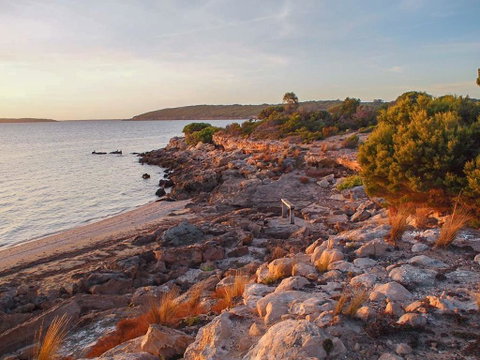 Willygunyah - Hotel NSW 29