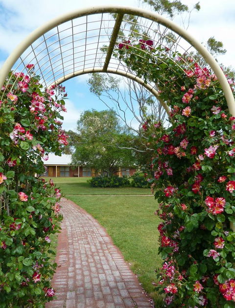 Coonawarra Place Motor Inn - Hotel NSW 20