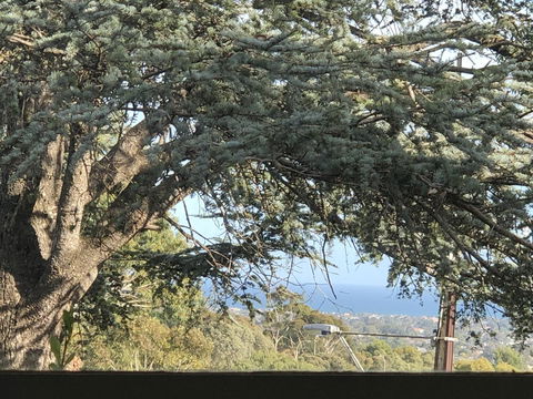 Stunning House With Beautiful Entertainment Area!! - Hotel NSW 8